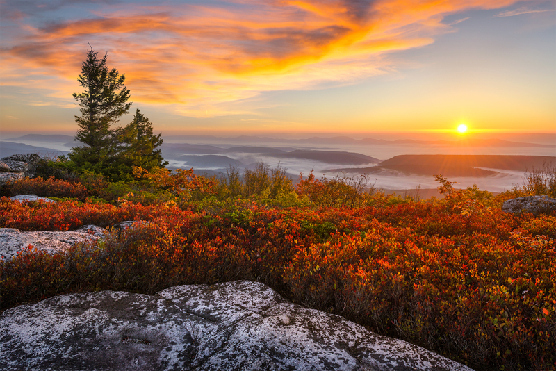 Photo from the top of a mountain in Shenandoah, Virginia overlooking the value with the sun setting in the back.
